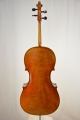 Violoncello 